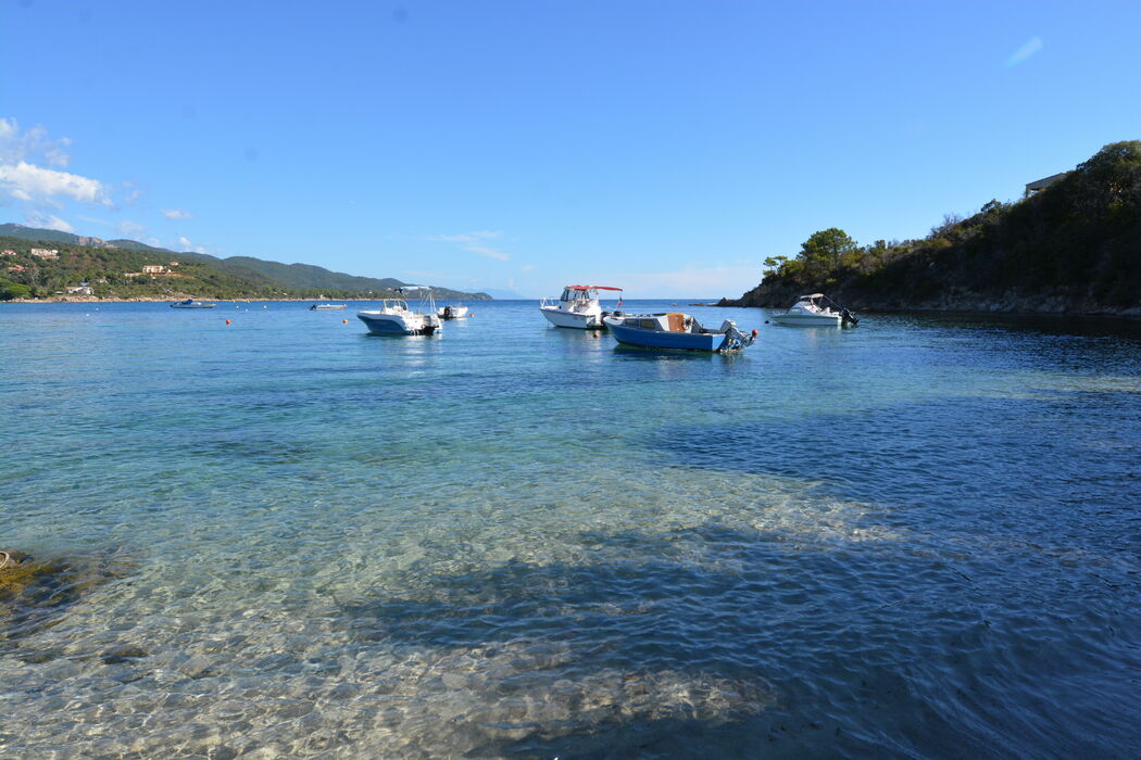 Camping des nacres Camping corse du sud