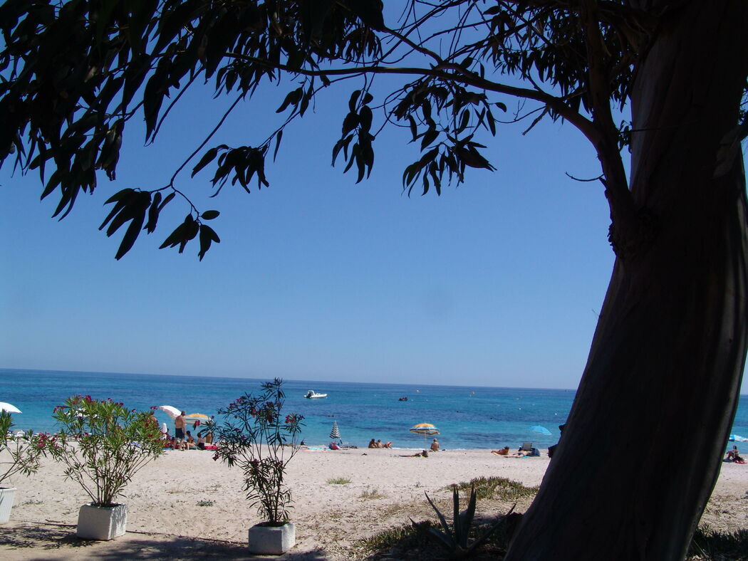 Galerie Camping des nacres SOLENZARA