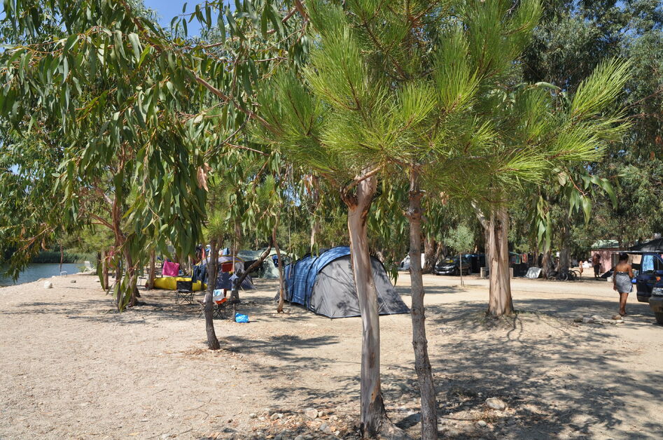 Flüchtig Zusatzstoff Alle camping cote des nacres wo auch immer